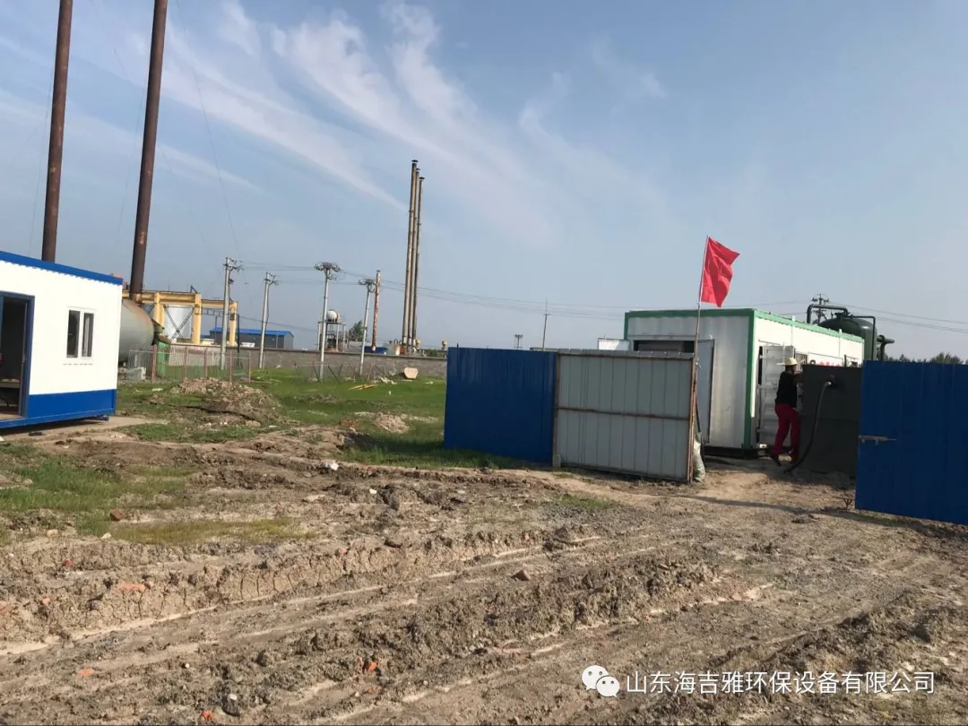 2.webp.jpg